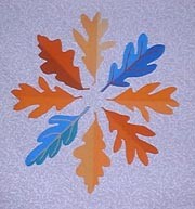 Oakleaves of different shades