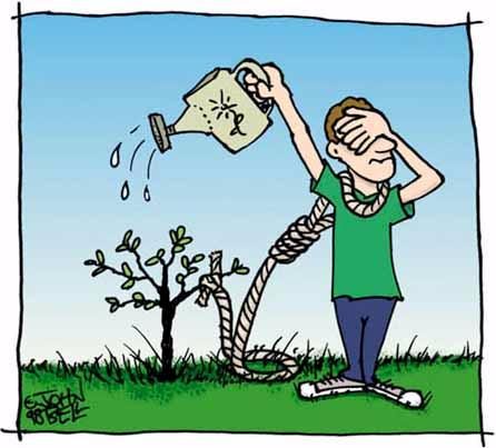 Procrastination: Druidic Style?