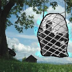 Caught in a net trap