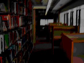 The creepy atmosphere of the unlit library at night.