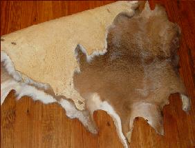 finished deerhide