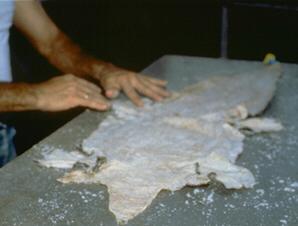 Salting the Skin