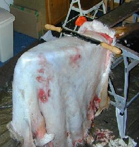 Scraping the skin clean